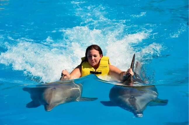 Nadar com Golfinhos em Punta Cana
