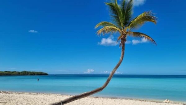 Ilha Saona Exclusivo