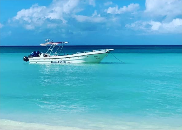 Passeio Ilha Saona