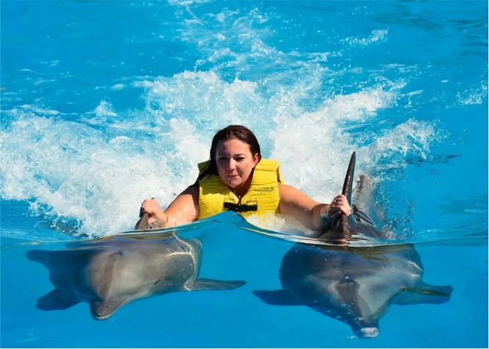 Nadar Com Golfinhos em Punta Cana