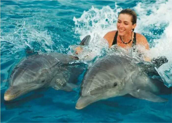 Passeio com Golfinhos em Punta Cana