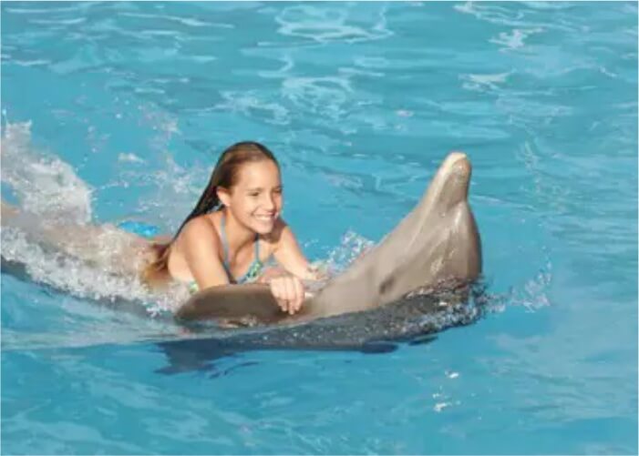 Passeio com Golfinhos em Punta Cana