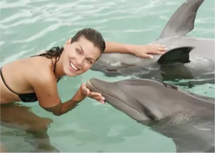Nadar Com Golfinhos em Punta Cana