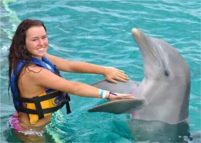 Passeio com Golfinhos em Punta Cana