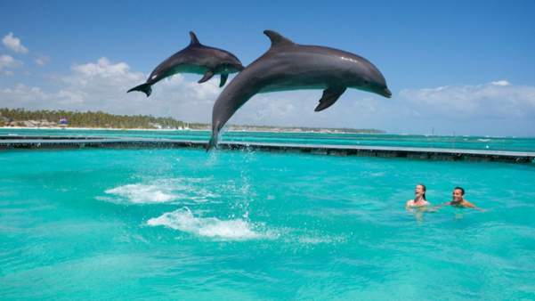 4 Maravilhas em Punta Cana