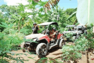 Guia Completo de Punta Cana em Português - Passeio de Buggy em Punta Cana Guia Completo de Punta Cana em Português - Passeio de Buggy em Punta Cana